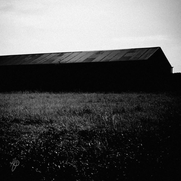 Dark Shed. Black and white photographic prints, Richard Pengelley, The Shy Photographer